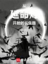 从延命灯开始的长生路